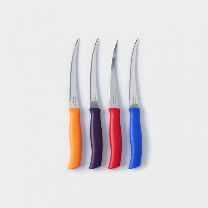 Набор кухонных ножей TRAMONTINA Athus, 4 предмета 10253865