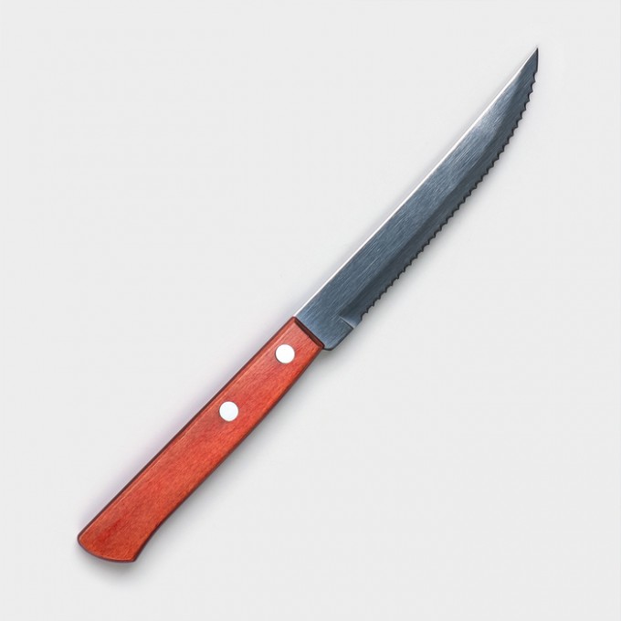 Нож TRAMONTINA Polywood 21100475-TR, для мяса, лезвие 12,5 см 21100/475-TR