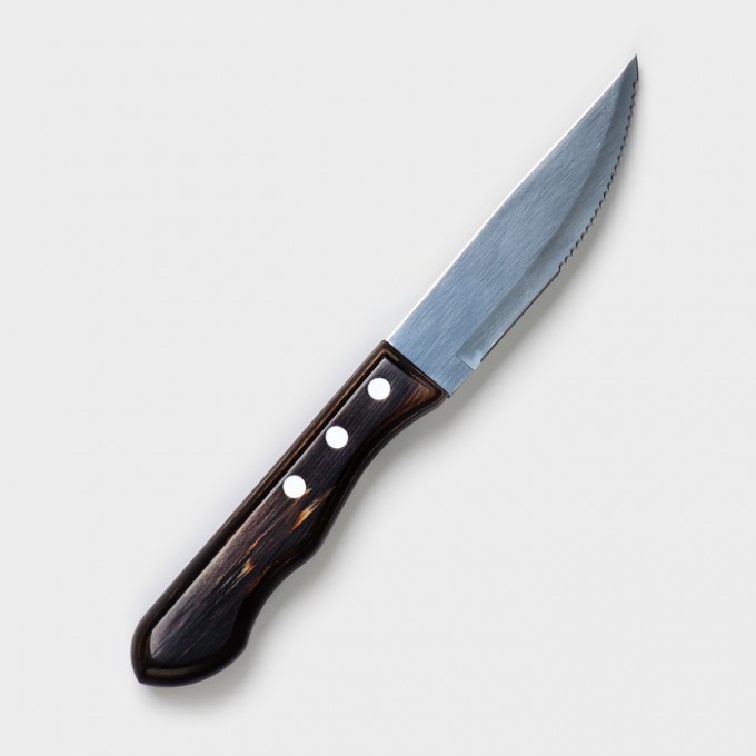 Нож TRAMONTINA Polywood Jumbo 21116095-TR, для мяса, лезвие 12,5 см 21116/095-TR